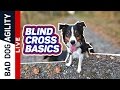 Blind cross basics