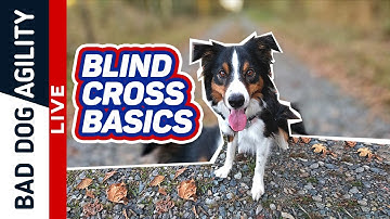 Blind Cross Basics