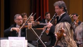 C M von Weber: Concertino for clarinet and orchestra.