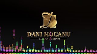 Dani Mocanu - Singur impotriva tuturor  |  Audio