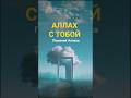#аллах #ихсан #истина #милость #напоминание #сабр #ислам #вера #коран #намаз #дуа #молитва #иман