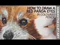 Coloured Pencil Tutorial - Red Panda Eyes | Samantha Clift Art