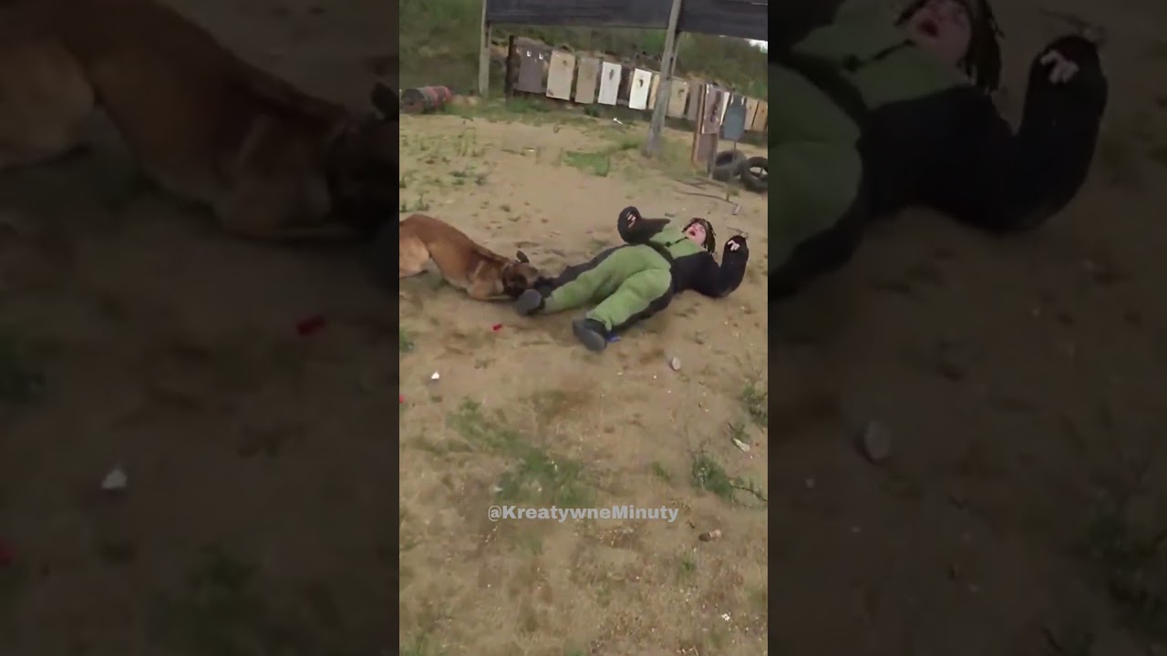 MULTI ZAATAKOWANY😲 