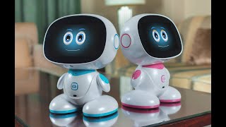 Misa Robot - Next Generation Social Robot