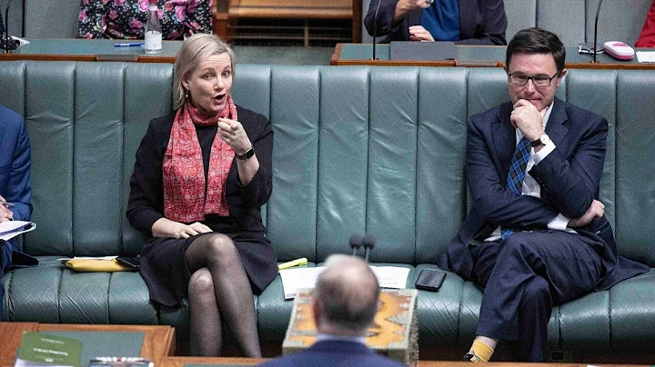 Sussan Ley calls out hypocrisy in Albanese
