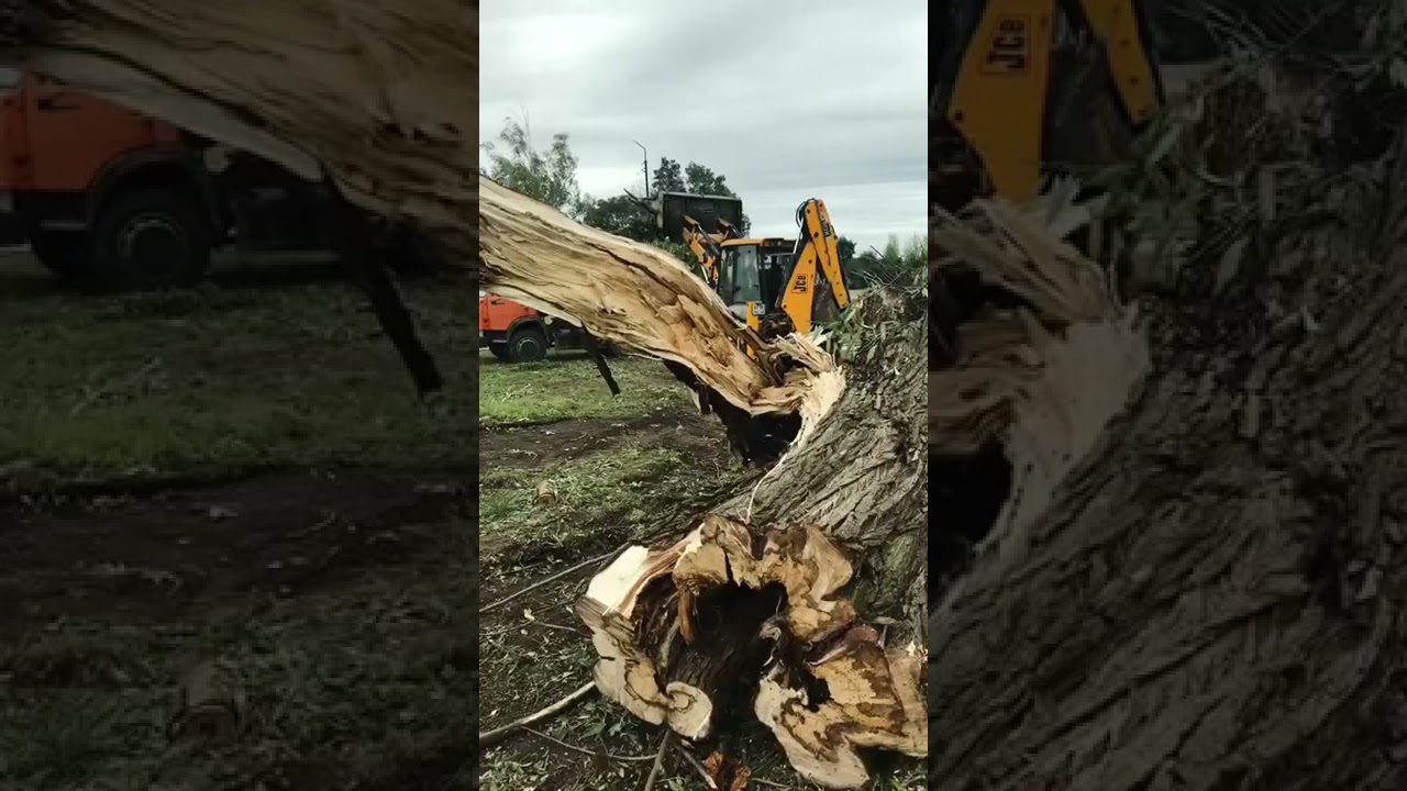 Расчистка участка - YouTube