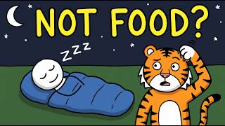 Why Wild Predators Never Attack Sleeping Humans