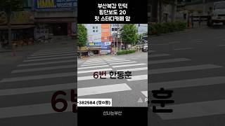 디카페 영상