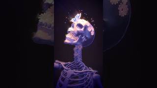 POV: after 1 year of burnout, you finally create again #blender #art