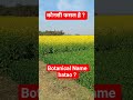 Identify the crop #botany #crop #agriculture #ytreels #viral #shakyshaky #foryou #gk
