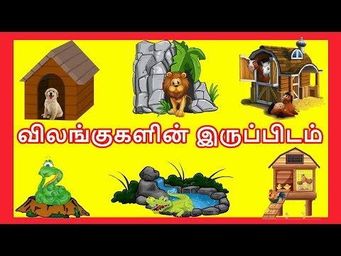 விலங்குகளின் இருப்பிடம் - தமிழரசி  | Learn Animals and their homes name in Tamil for Kids & children
