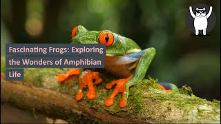 Fascinating Frogs: Exploring the Wonders of Amphibian Life