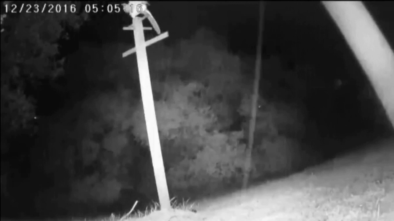 silicon valley movie Barn Owl Shower
