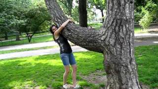 Becky vs Tree.AVI
