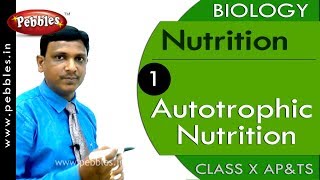 Autotrophic Nutrition:  Nutrition | Biology | Science |  Class 10