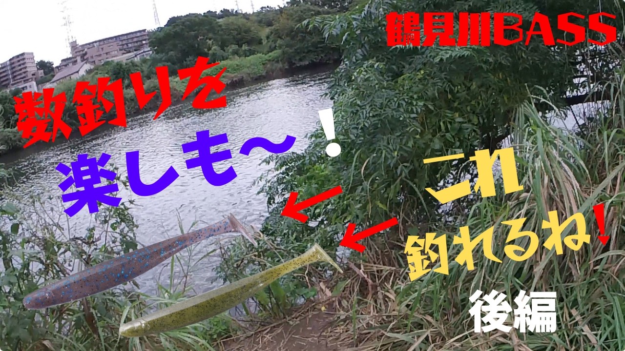 (実釣❗️）本当OSPルアーは釣れるね❗️点の釣り線の釣りも釣れるね❗️秋の釣り複数フィッシュ❗️〇〇もこれで釣れたよ‼️