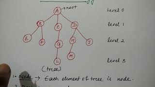 tree terminology in data structure in hindi | Niharika Panda