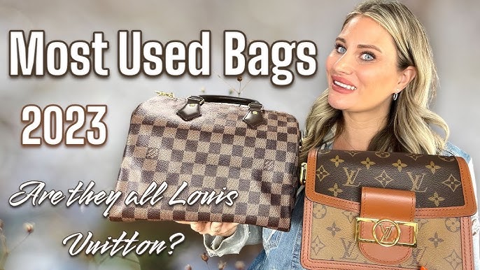 How To Style Louis Vuitton Handbags: Elevate Your Fashion Game — No Time  For Style