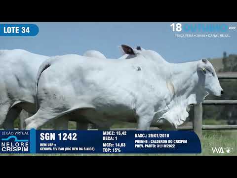 LOTE 34 SGN 1242,1429