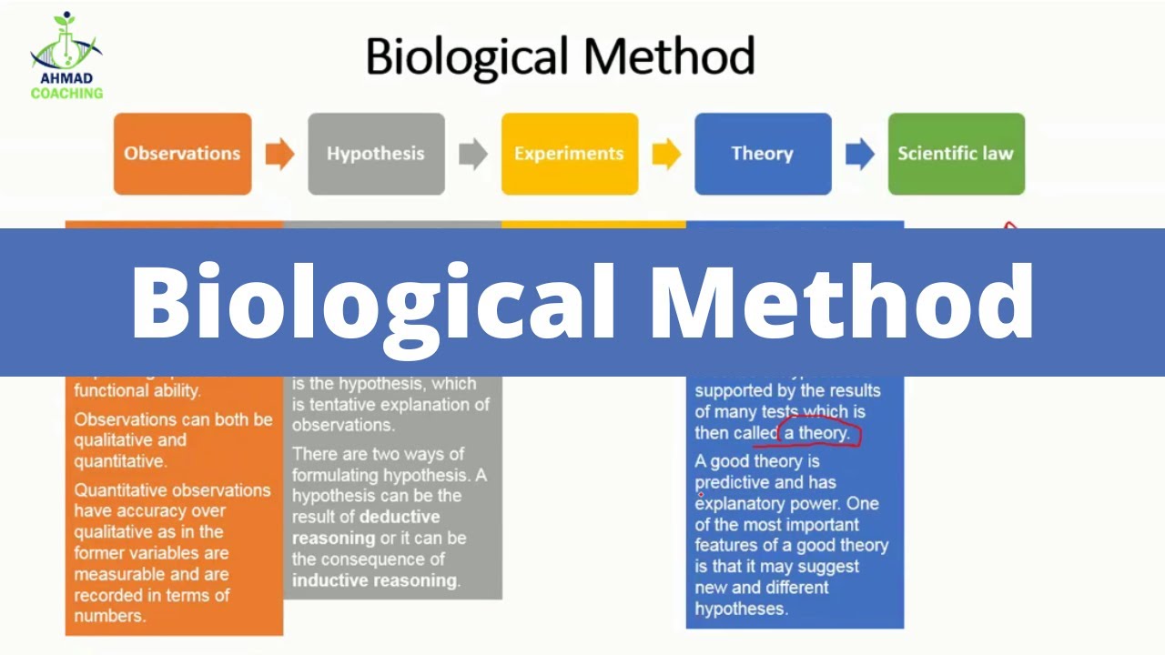 biological hypothesis journal