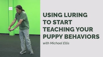 Michael Ellis on Using Luring to Start Teaching Your Puppy Behaviors