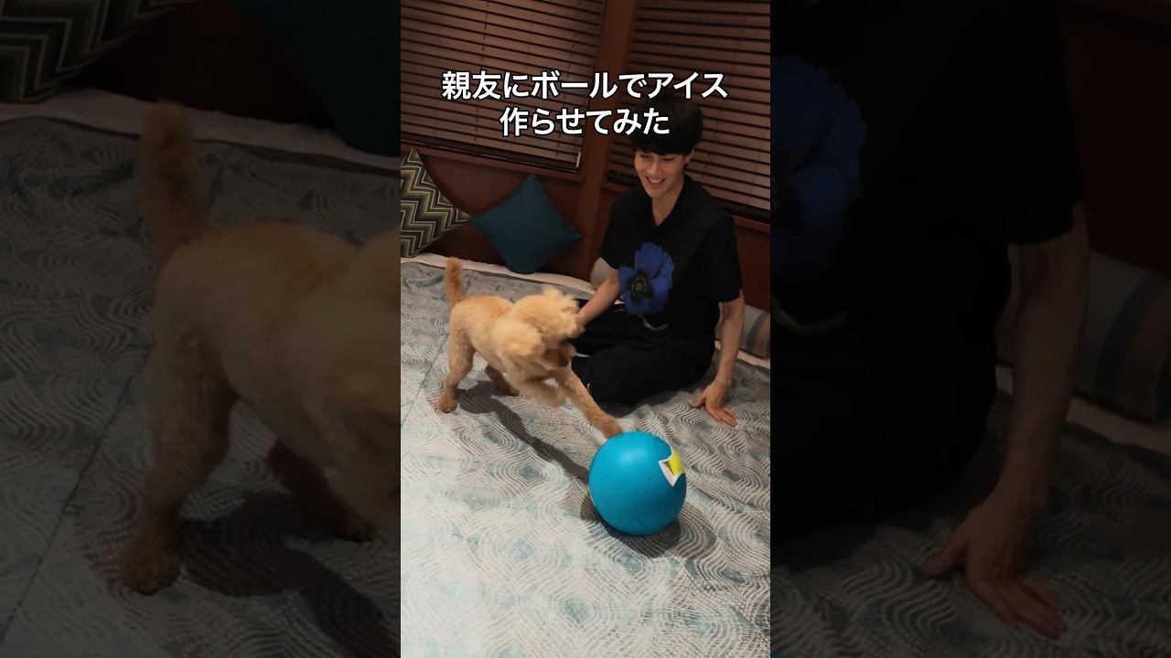 親友にボールでアイス作らせてみた 쇼츠 썸네일
