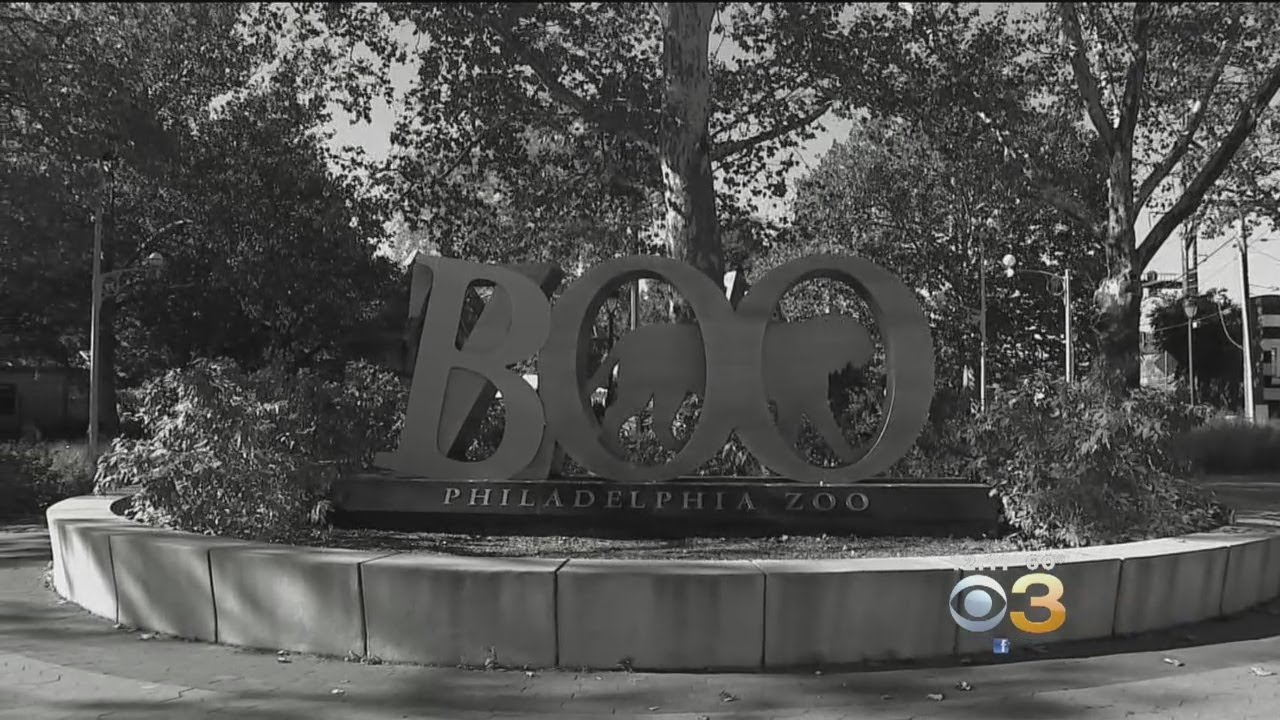 Boo At The Zoo To Bring Halloween Themed Fun This Weekend - YouTube