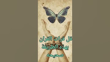 سورة يوسف 💚
