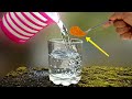 Simple science experiment to do at home