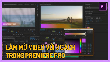 Học Premiere cơ bản: Làm mờ video trong Premiere | Làm mờ đối tượng trong Premiere | Tú Thanh Blog