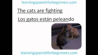 Funny Spanish Videos – Learning Spanish for Beginners