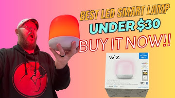 Wiz Hero Unboxing & Review. Is this the Best LED Smart Light?