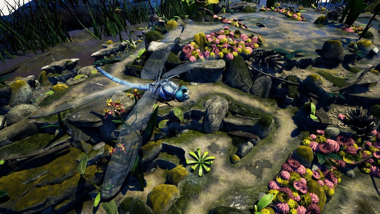 4.2, A Bridge Too Far Insane (Old) Empires of the Undergrowth