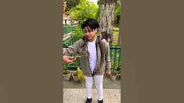 طلع البدر علينا 