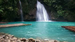 Doğa Resimleri Rahatlatıcı Manzaralar Orman Sesi Kuş Sesi Huzurlu Saatler Doğa Ve Manzaralı Dağ