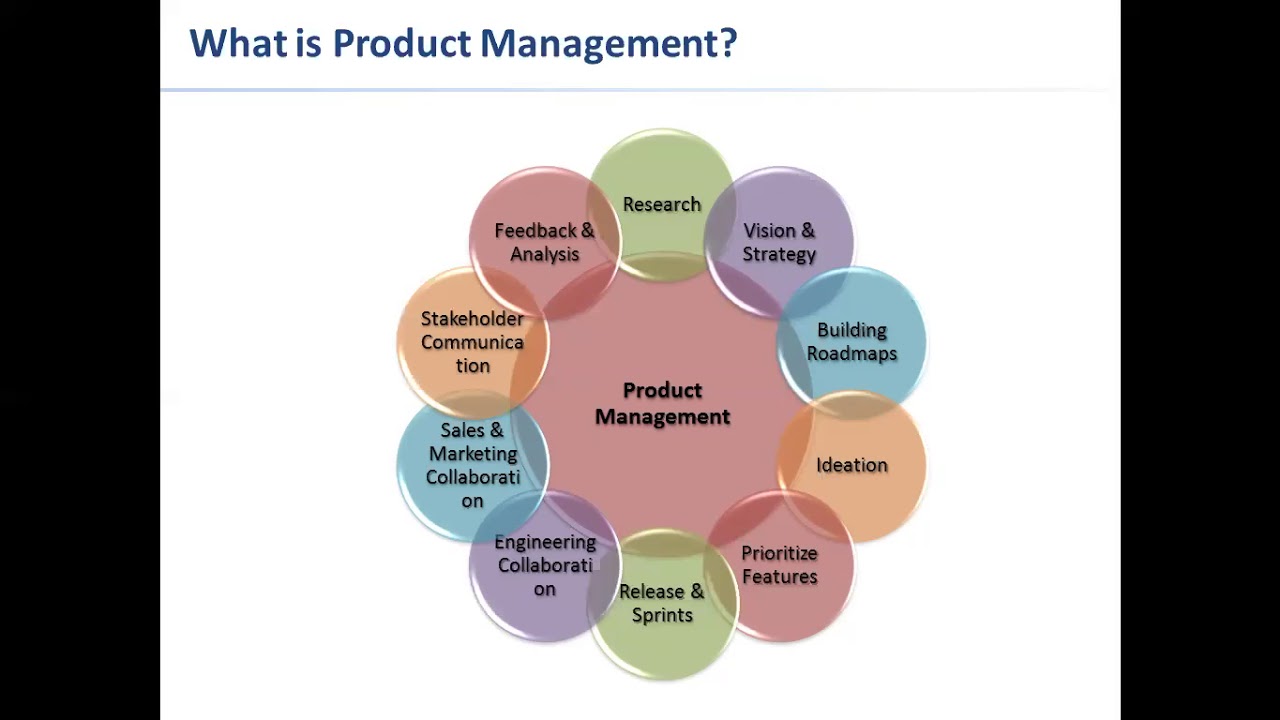 difference between product owner and product manager