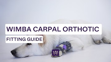 WIMBA Carpal Orthotics - Fitting Guide