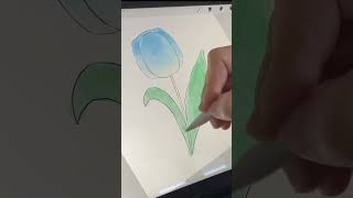 How to DRAW Tulip 🌷 Easy for beginner in Procreate. Simple drawing tutorial #shorts #art #drawing
