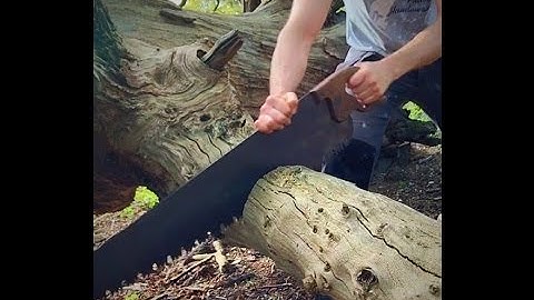 Cutting logs with an old cross cut saw.
