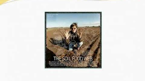 Getting to Know Your Soil