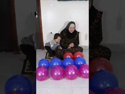 عمر فرقع 12 بلونه