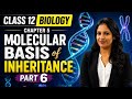 Class 12th Biology Chapter 5 Molecular Basis Of Inheritance Part 6 #biology #neet #kvs #ncert