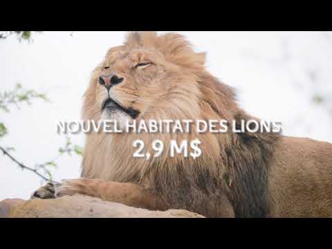 Le plus important projet de modernisation de l'histoire du Zoo