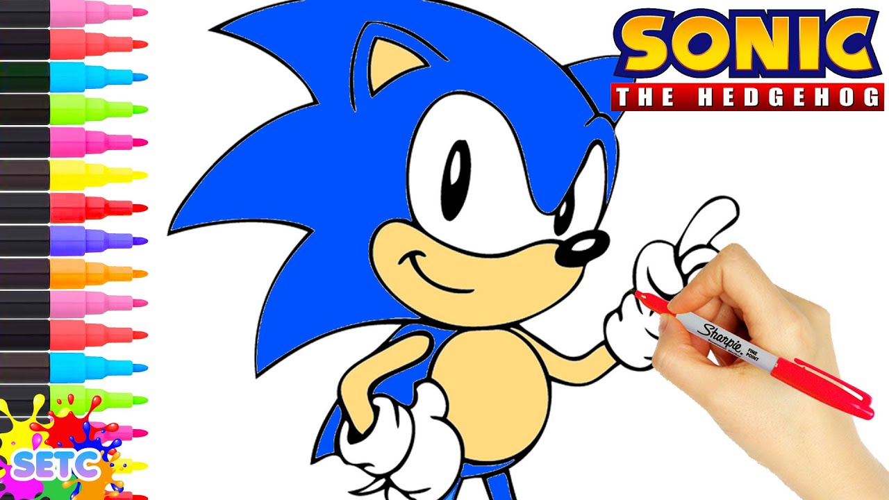 80 Sonic Coloring Pages Online  Best Free