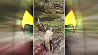 The Jank is Real | Elden Ring #Shorts