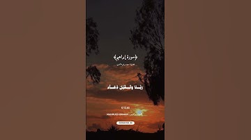 ﴿سورة-إبراهيم﴾🌹 بصوت القارئ سعيد مرعي الأحمري 🎙️♥️