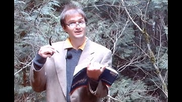 Forest carbon basics