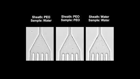 Microfluidic co-flow of Newtonian and viscoelastic fluids for ...