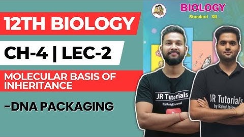 12th Biology | Chapter 4 | Molecular Basis of Inheritance | Lecture 2 | DNA Packaging |