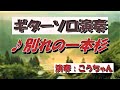 ギターソロ 「別れの一本杉♪」 作詞 : 高野公男 作曲 : 船村 徹 演奏 : こうちゃん